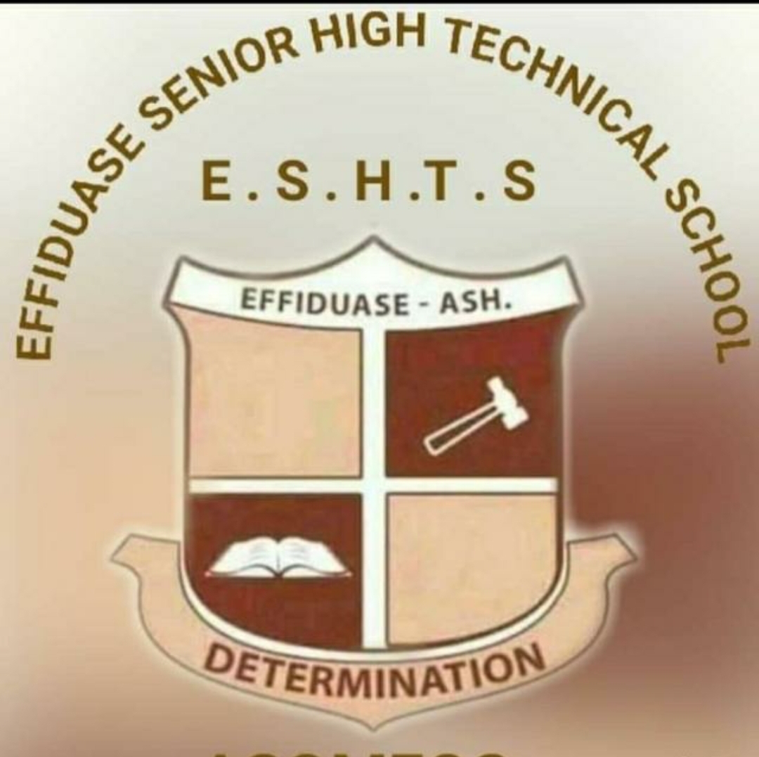 EFFIDUASE SENIOR HIGH TECHNICAL Logo