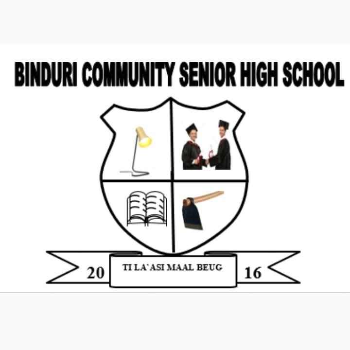BINDURI COMMUNITY SHS Logo