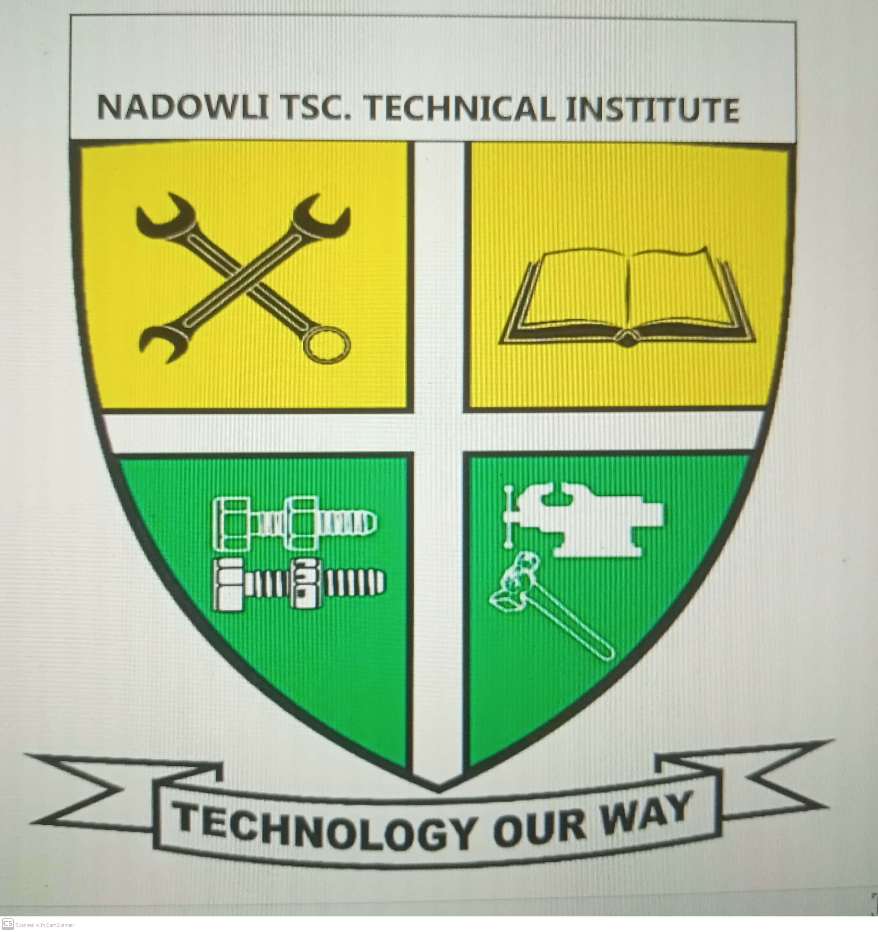 NADOWLI TSC TECHNICAL INSTITUTE Logo